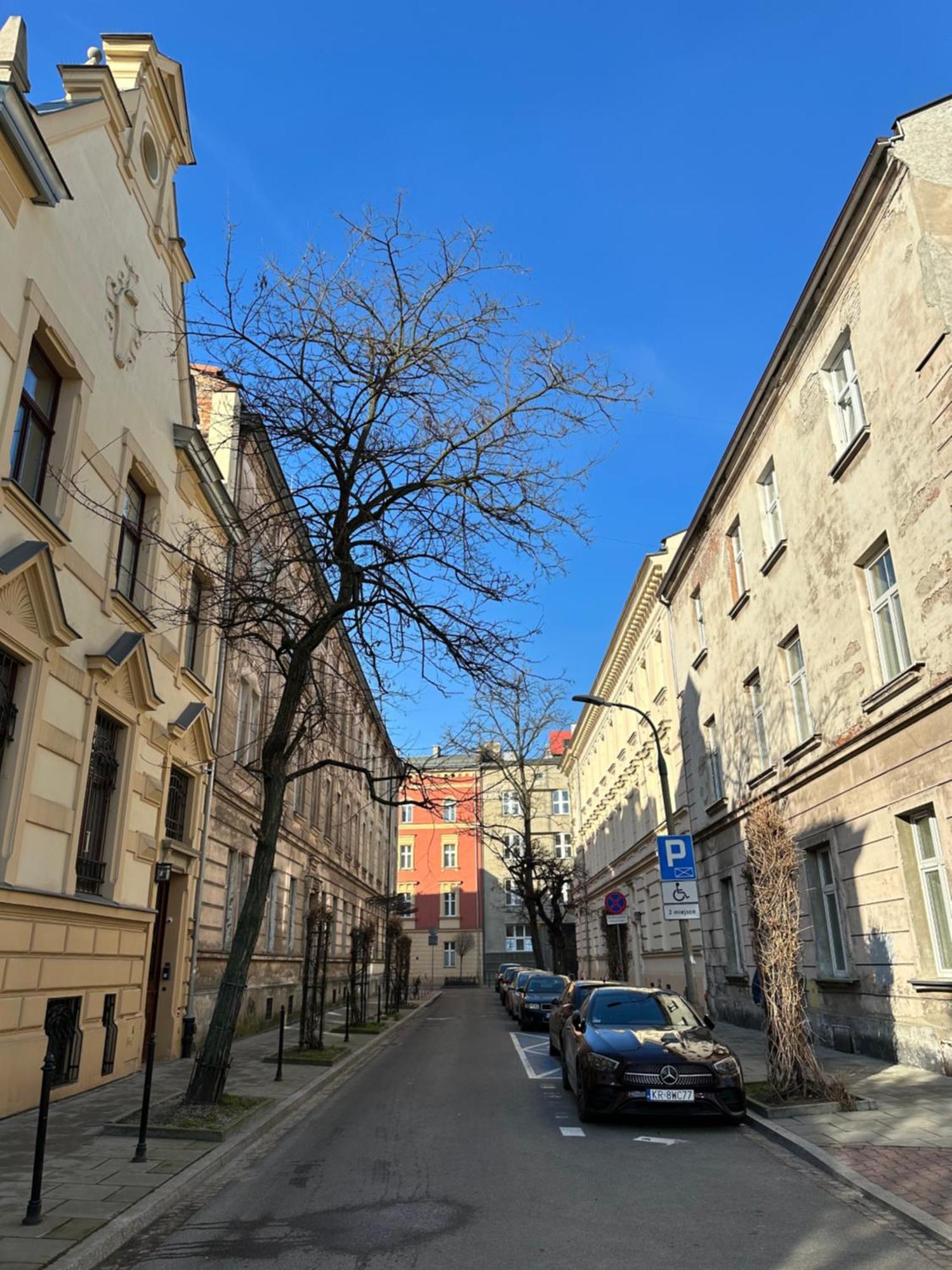 Perfect Place To Stay In Krakow City Center 28M2 W1 Екстер'єр фото